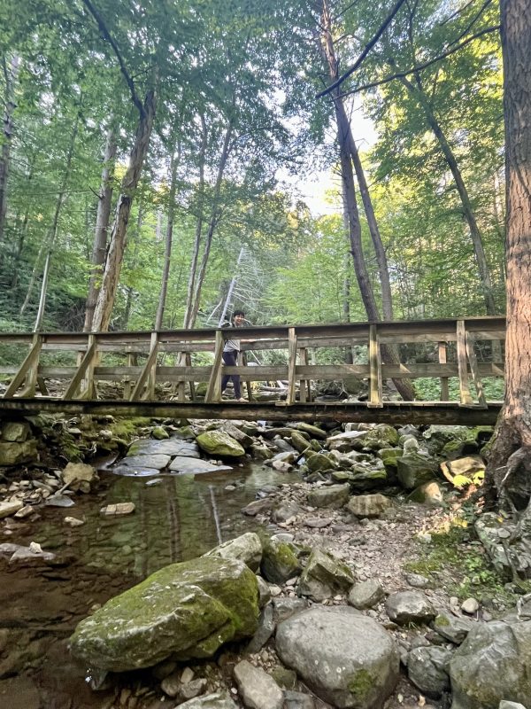 애팔래치안 트레일 Appalachian Trail
