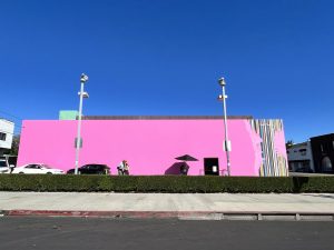 The Pink Wall