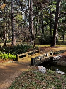 Japanese Garden (일본 정원)